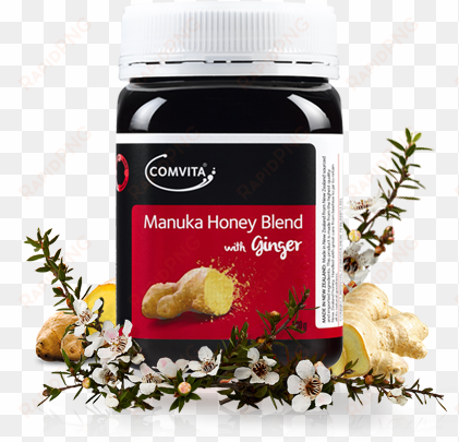 manuka honey blend with ginger 500g - comvita manuka honey blend with lemon 250g