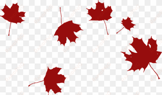 maple falling wind red leaves nature autum - grape leaf clip art