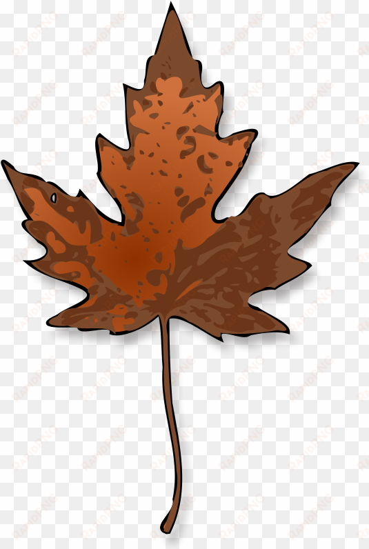 maple leaf autumn leaf color red maple drawing - maple leaf clip art