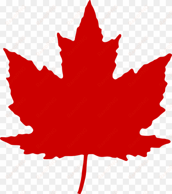 maple leaf - canadian maple leaf png
