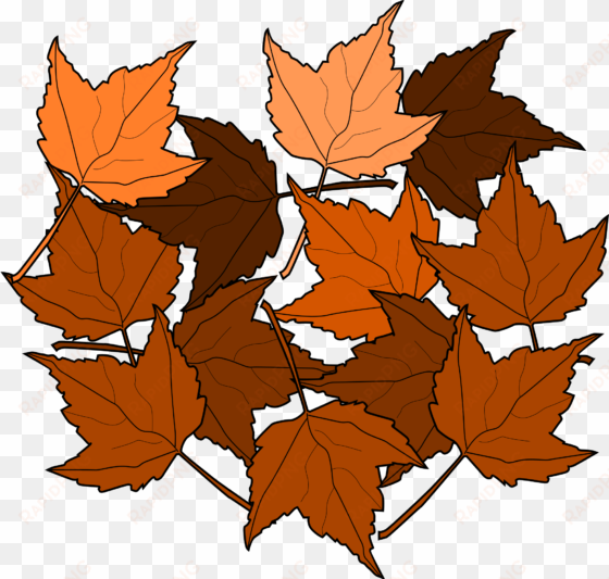 maple leaf clipart small leaf - dead leaves clipart