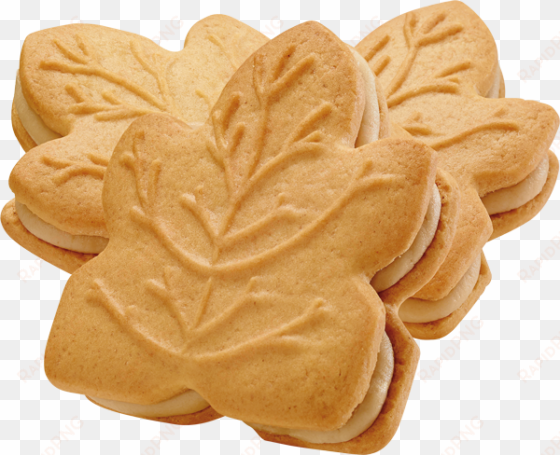 maple leaf cookie png