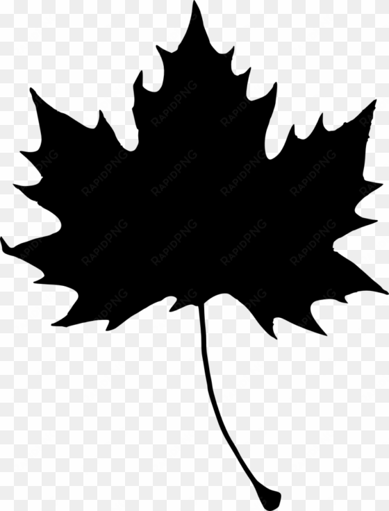 maple leaves silhouette at getdrawings - portable network graphics