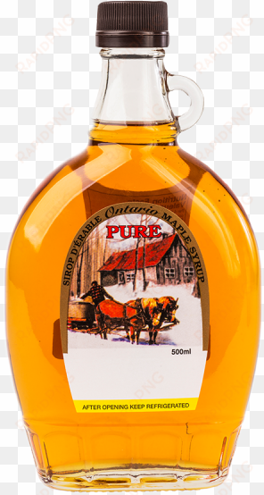 maple syrup - glass bottle