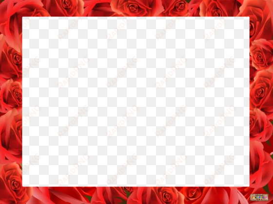 marcos photoscape rosas rojas - bordes de rosas rojas
