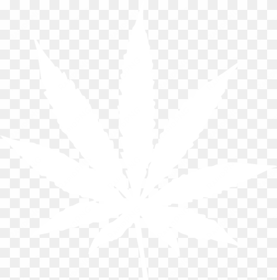 marijuana black and white