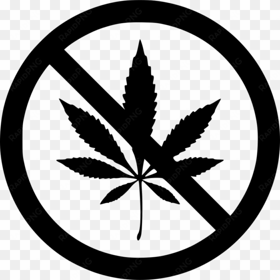 marijuana comments - no pets logo
