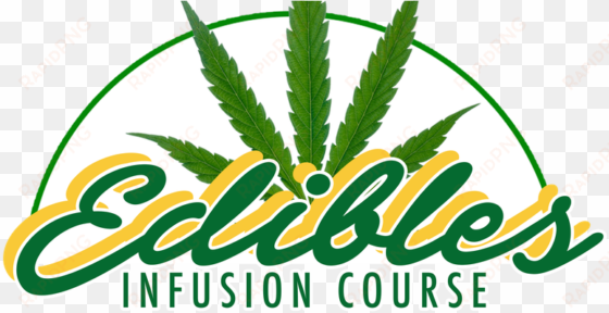 marijuana edibles class - edibles class