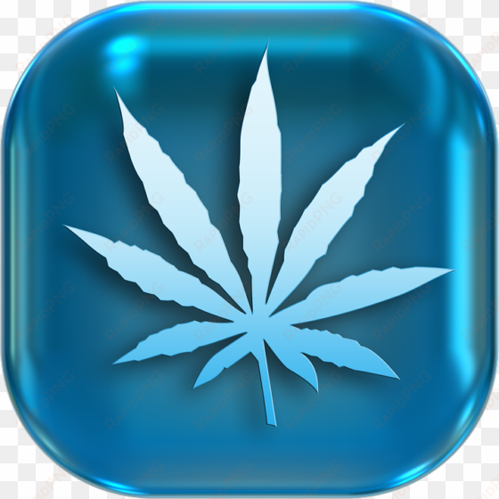 marijuana is legalized in canada - gold weed leaf sticker