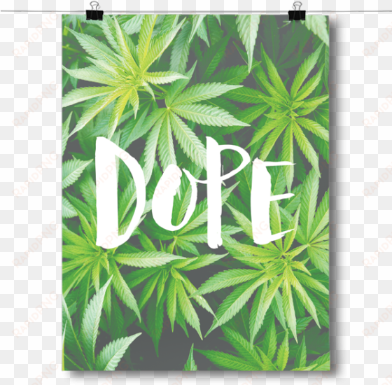 marijuana leaf - inspired posters dope - marijuana leaf poster size