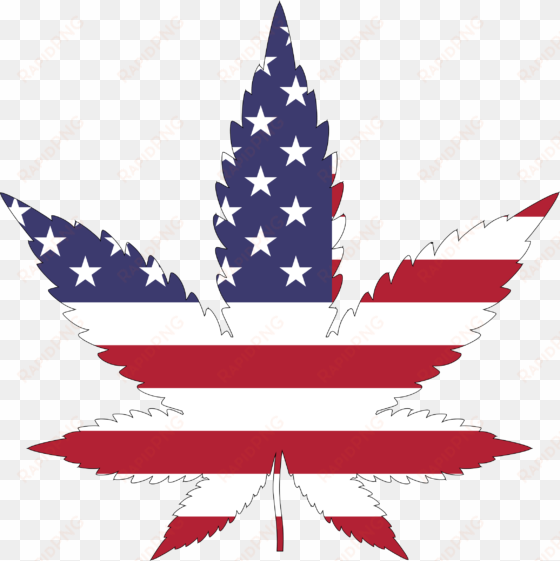 marijuana will soon be a big concern at the u - marijuana leaf american flag