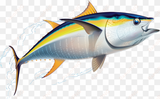 marine fish clipart australian fish - tuna clip art