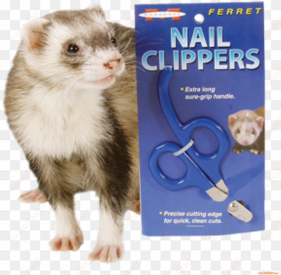 Marshall Ferret/rodent Nail Clippers - Marshall - Ferret Nail Clipper - 1 Clipper transparent png image