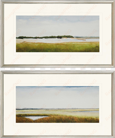 marshlands ii pk/2 - paragon marshlands ii by coggins 2 piece framed painting