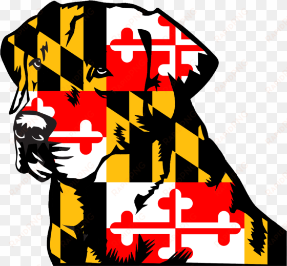 maryland 3'x5' flag usa united states