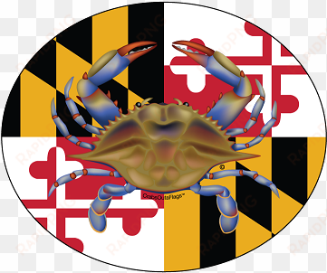 maryland flag iphone 6