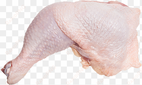 marylands - chicken thigh raw