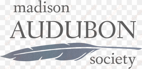 mas-watercolorlogo - madison audubon society