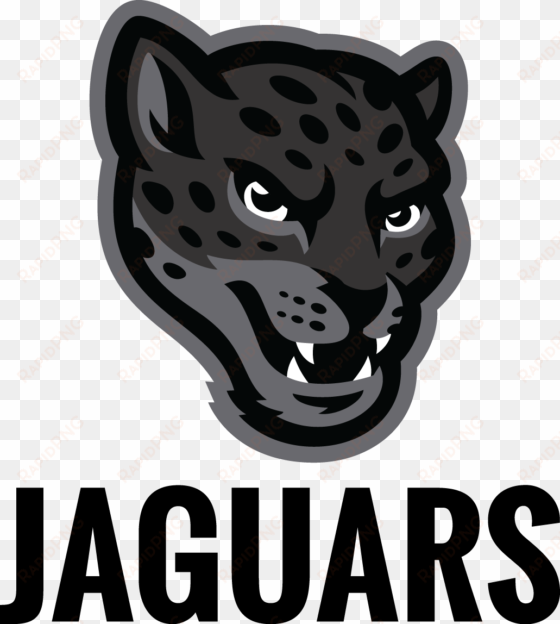 mascot , png - texas a&m san antonio jaguar