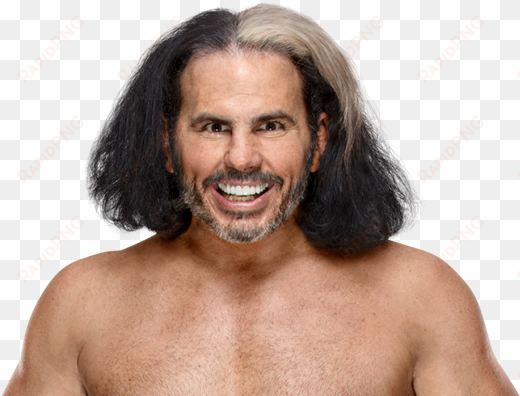 matt hardy - matt hardy bray wyatt