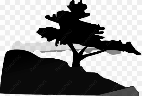 mb image/png - bonsai tree clip art