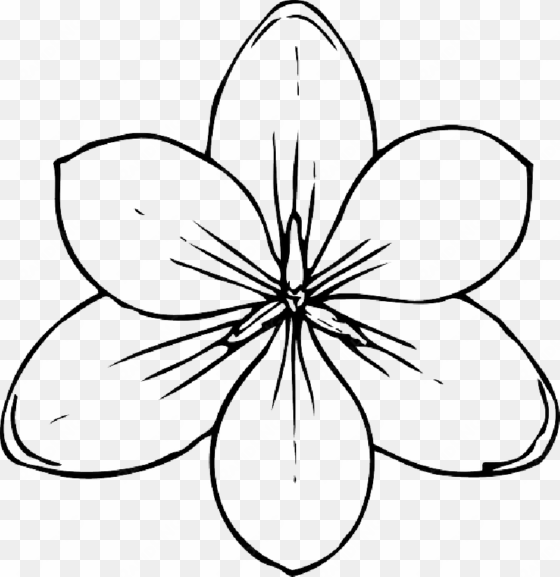 Mb Image/png - Coloring Pages Of Flowers transparent png image