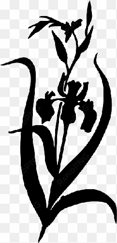mb image/png - iris flower iris clipart black and white