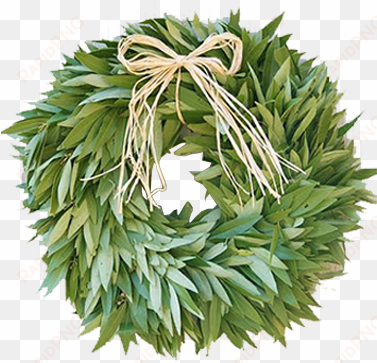 mcfadden wreath bayleaf copy - wreath