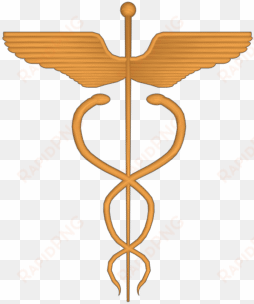 medicine themed video element with rod of asclepius - caduceus art