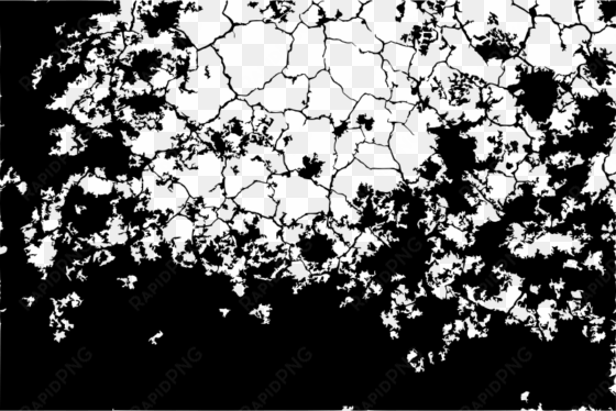 medium image - cracked texture black and white transparent