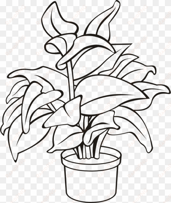 medium image - potted plant clipart black and white