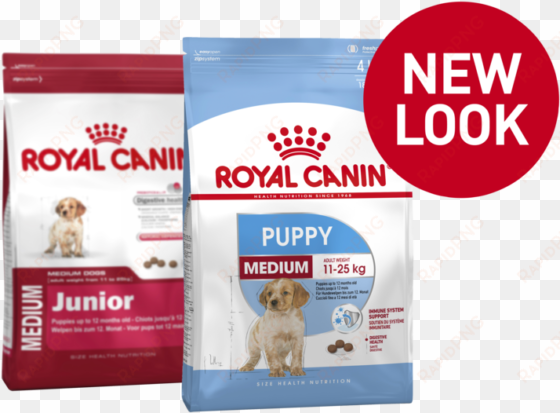 medium puppy - royal canin puppy