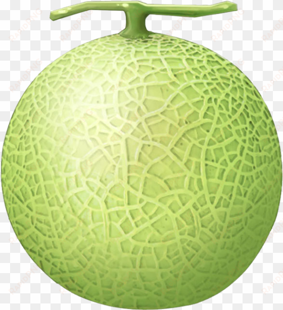 melon png - green melon png