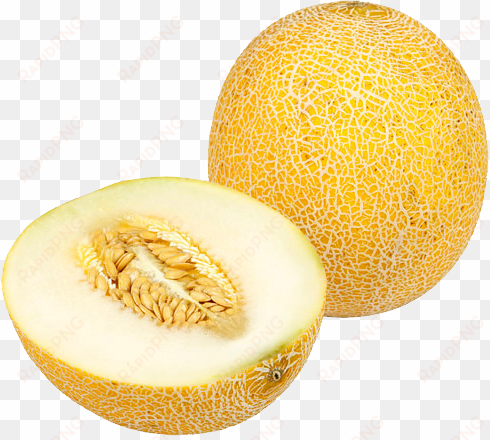 melon png - muskmelon