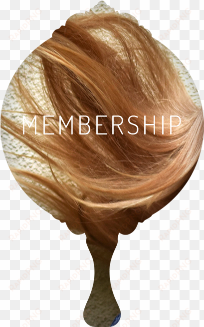 membership - experience