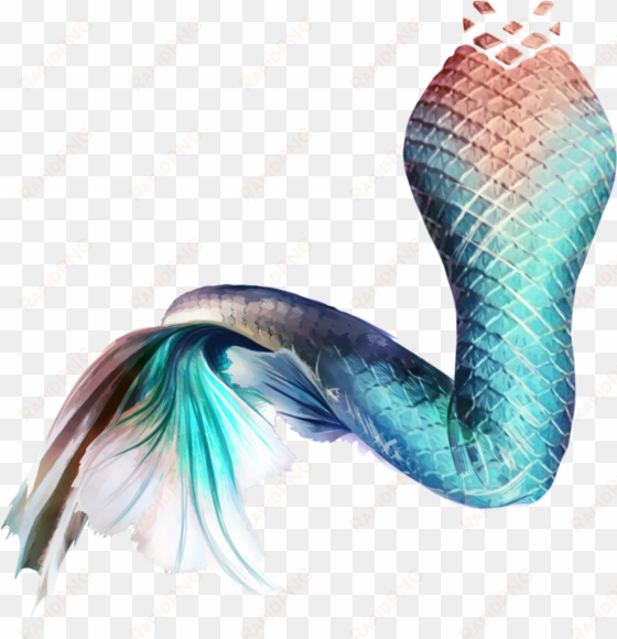 mermaid tail sticker