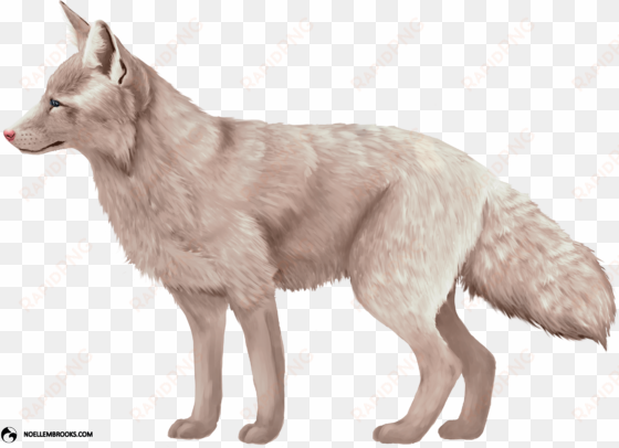 Miko The Champagne-colored Ranched Red Fox - Champagne Fox transparent png image