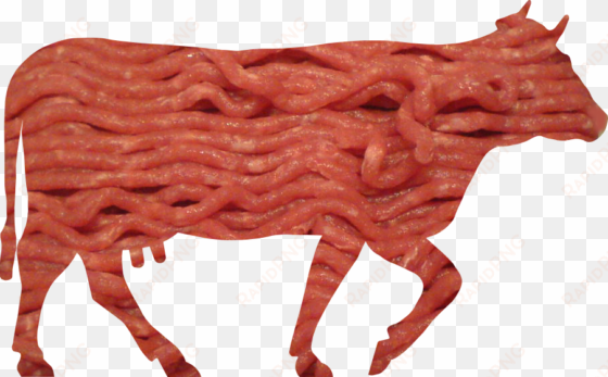 minced beef meat cow cattle - red meat