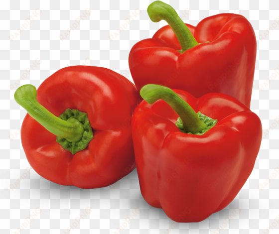 mini sweet bell peppers png graphic transparent - red bell pepper png
