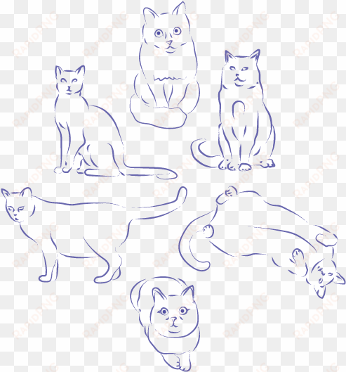 minimal cat practice sketches from before i knew this - sketch