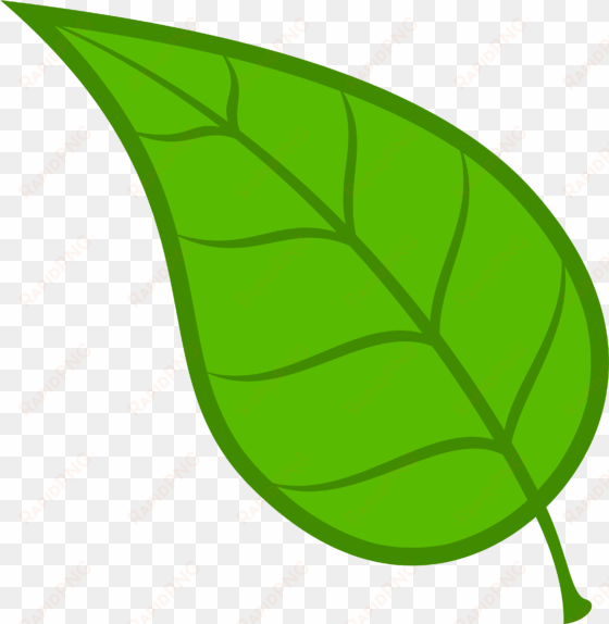 minimalist tea leaf clip art - leaves clipart transparent background
