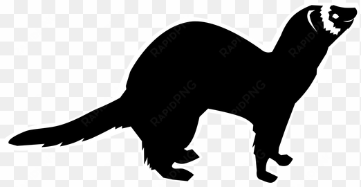 Mink Drawing Polecat - Ferret transparent png image