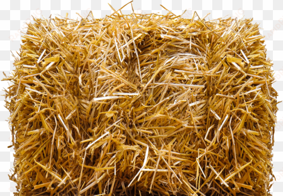 miscellaneous - bales - hay bale png