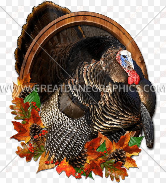 mister thankful thanksgiving turkey baseball sleeve