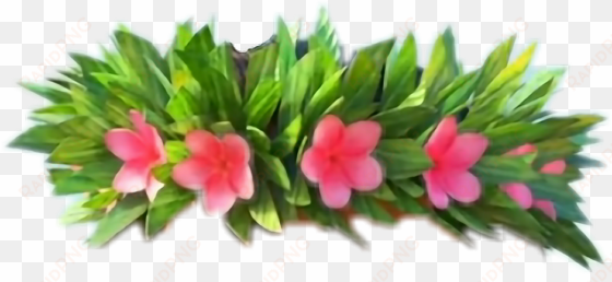moana transparent flower - moana flower crown png