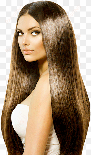 model salon png - long hair silky brown