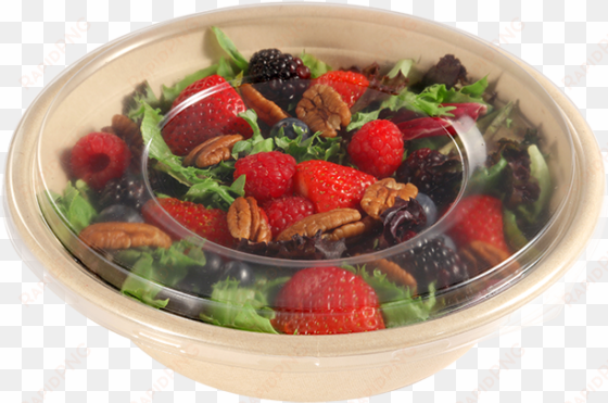 molded fiber packaging is becoming very popular as - bowl