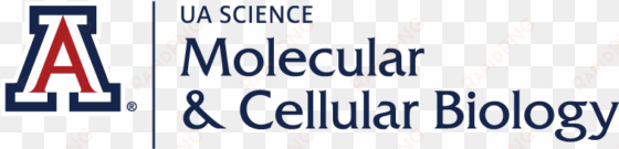 molecular and cellular biology - arizona wildcats baggo bean bag toss cornhole game