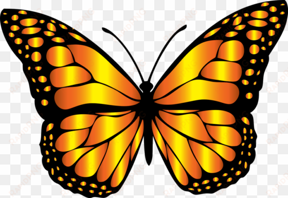 monarch butterfly clipart