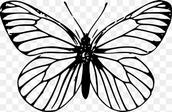 monarch butterfly outline drawing template - bilder zum ausmalen schmetterling